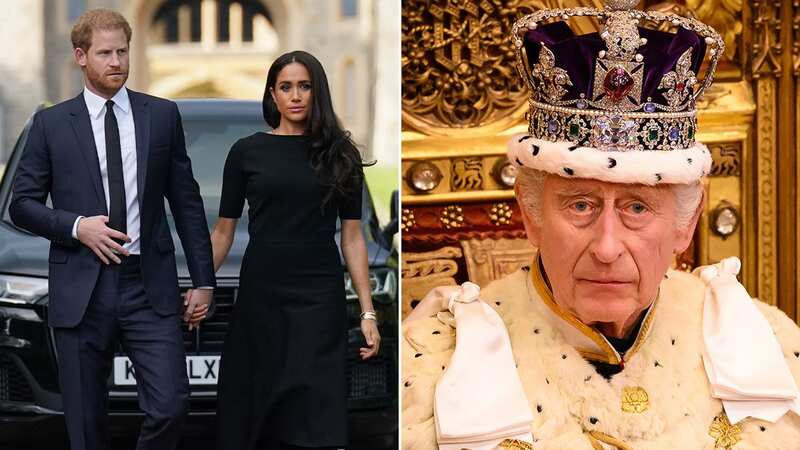 Harry and Meghan slammed as they 