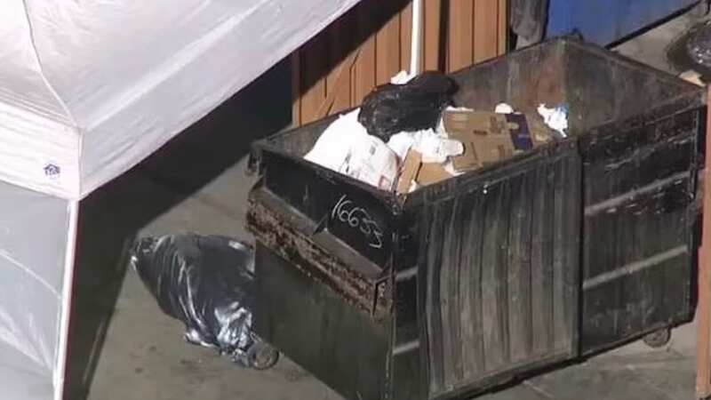 The dismembered torso of a woman was found in a dumpster near a strip mall in Encino, Los Angeles on Wednesday morning (Image: KTLA)
