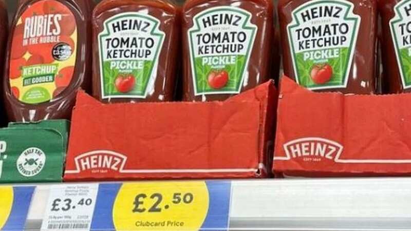 A Tesco shopper spotted the new product on the shelf (Image: Food Finds UK Official WS)