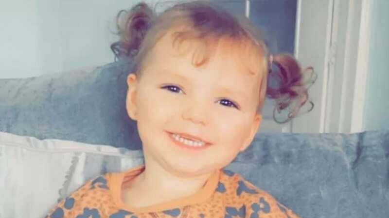Maya was just two years old (Image: gofundme.com)