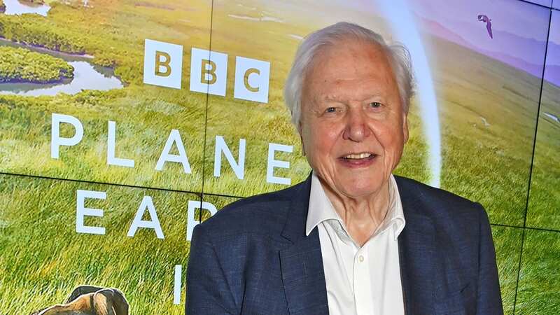 The animal has been named after Sir David Attenborough (Image: Dave Benett/Getty Images)