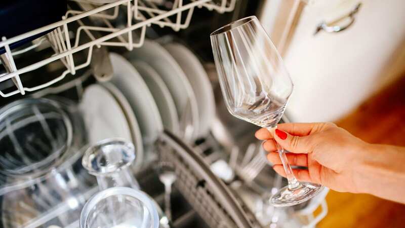 She cleaned the dishwasher with baking soda and a cup of distilled white vinegar (stock photo) (Image: Getty Images/iStockphoto)