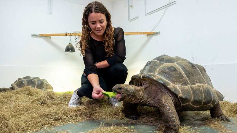 Desperate future for reptiles dumped at rescue centre who could be culled