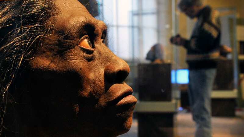 A sculpted model of Homo Floresiensis (Image: The Washington Post via Getty Images)