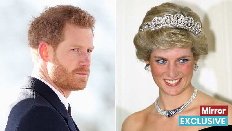 Prince Harry was just a child when Princess Diana died (Image: getty)
