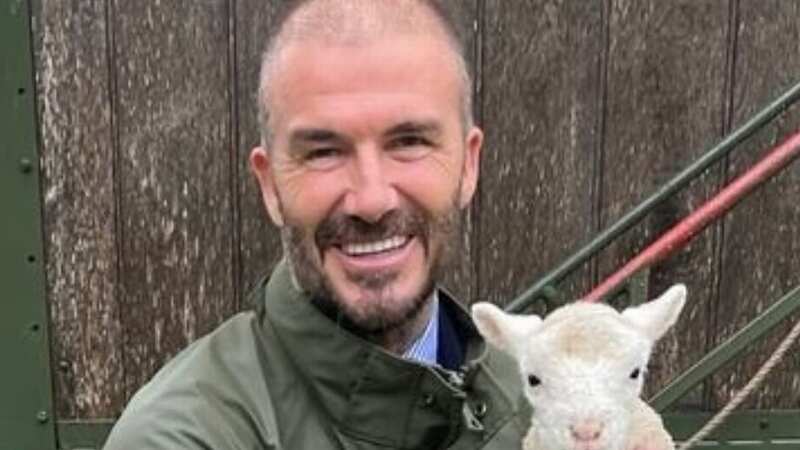 David Beckham