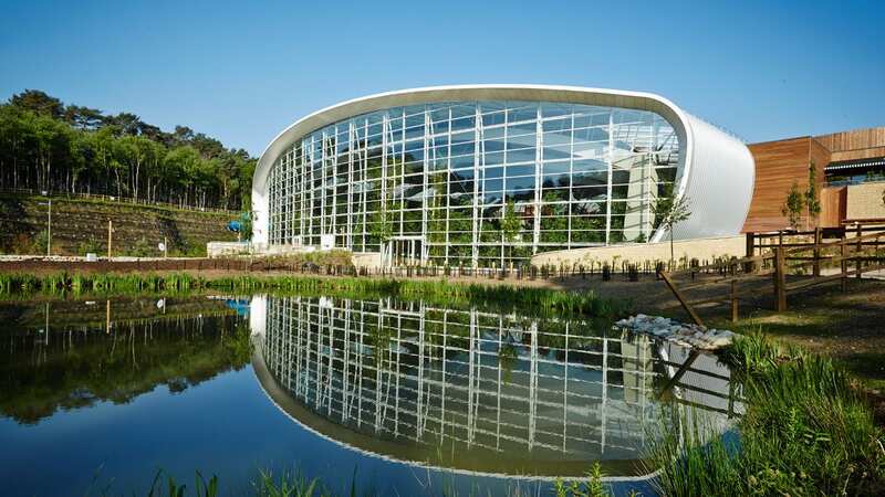 The Subtropical Swimming Paradise at Center Parcs Woburn Forest - the resort where Alfie fell off his skateboard in the fatal accident (Image: Solihull News)
