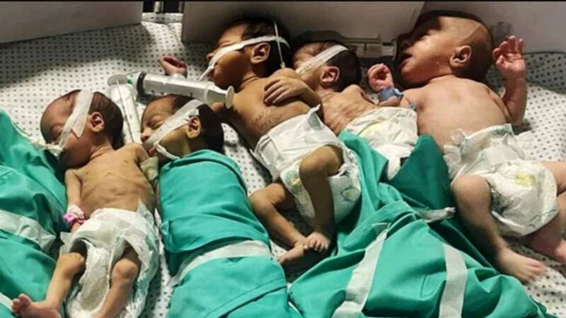 Premature babies at Al-Shifa hospital (Image: Dr. Ahmed El Mokhallalati)