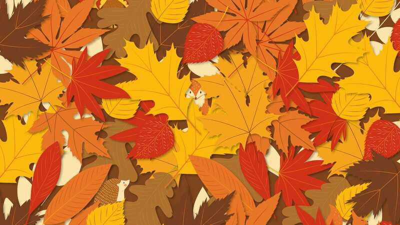 Can you spot the animals hiding? (see full image below) (Image: instantprint)