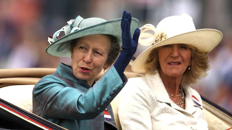 Princess Anne is known as one of the hardest working members of the Royal Family (Image: Getty Images)