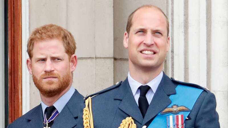 Harry and William have not seen eye to eye over the last few years