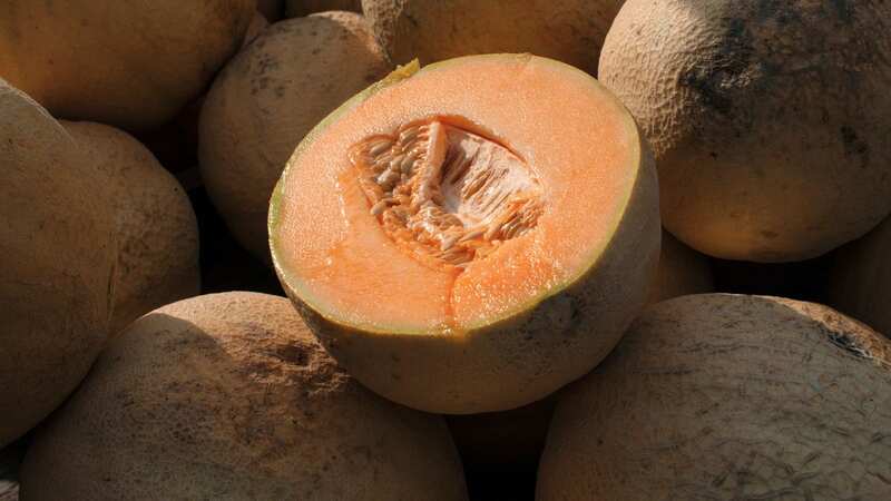Warnings have been issued not to eat certain Cantaloupes amid salmonella fears (Image: AP)