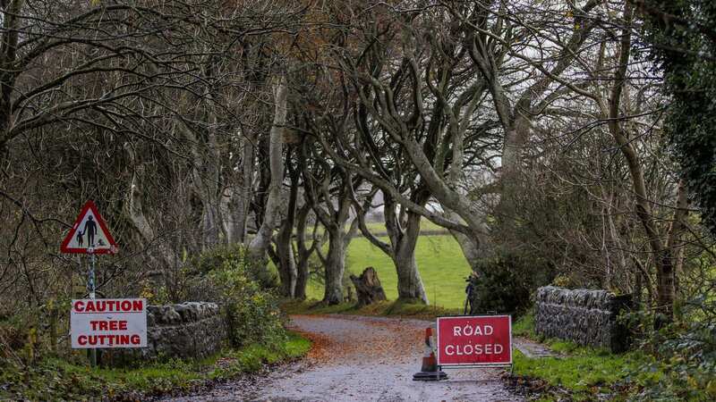 A road closed sign at the Dark Hedges as workmen begin the operation to remove a number of trees (Image: PA Wire/PA Images)