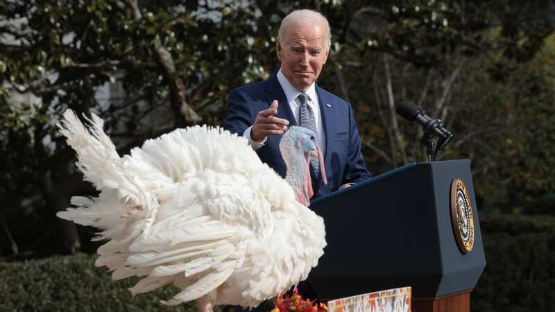 President Joe Biden pardons the National Thanksgiving turkeys Liberty and Bell during a ceremony on the South Lawn of the White House (Image: Getty Images)
