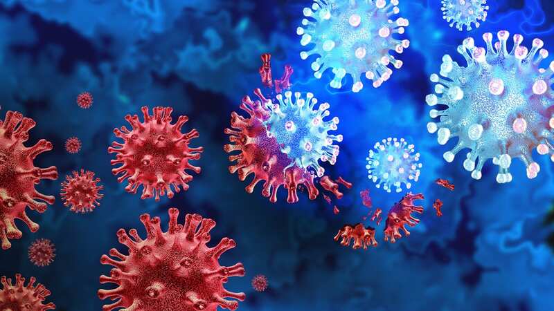 The first variant of Covid-19 a person is exposed to determines how well their immune system responds (Image: Getty Images/iStockphoto)