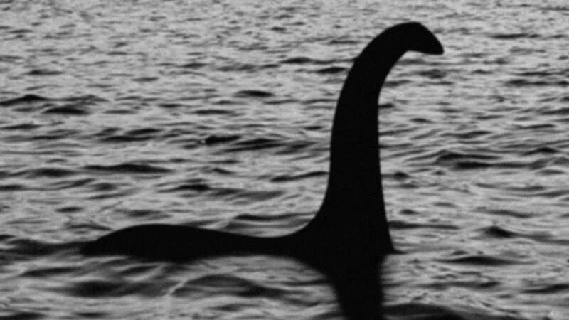 DNA may have shed light on what exactly the Loch Ness Monster is (Image: Getty Images)