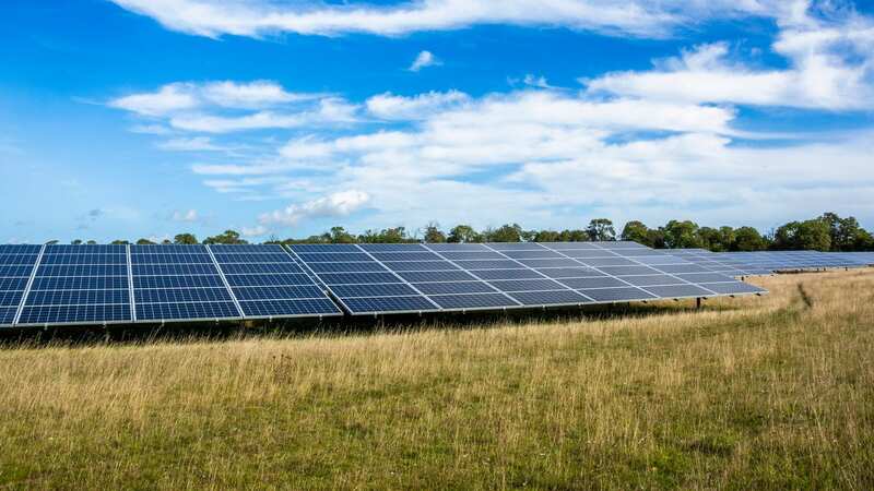 Nearly half of Brits are baffled that the UK does not have more solar farms (Image: Island Green Power)