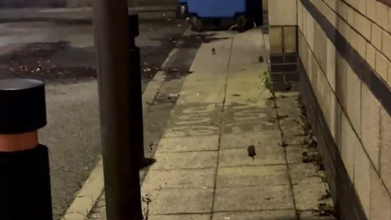 Rodents seen outside a Blackburn Pizza Hut (Image: Lanc Live)