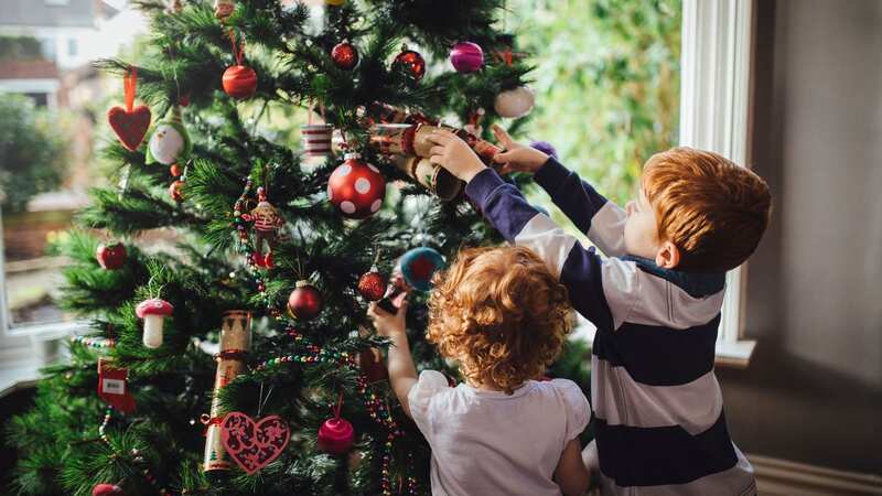 Putting your tree in the wrong place may be making your home look dark (Image: Getty Images)