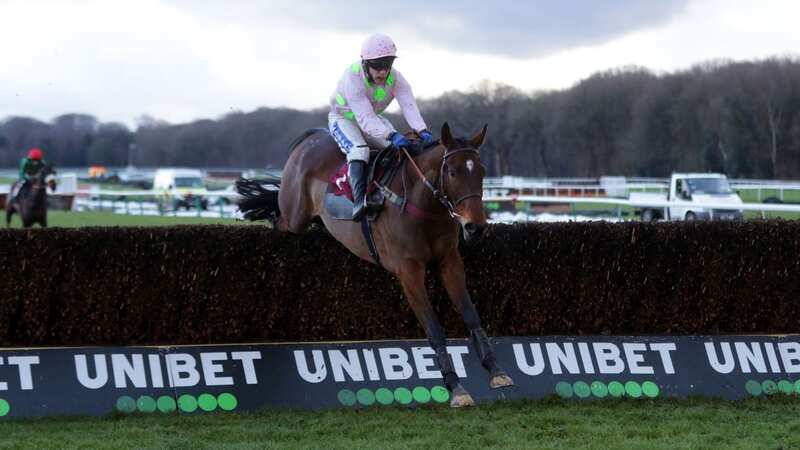 Royale Pagaille won the Peter Marsh Handicap Chase at Haydock for the second year in a row (Image: PA)