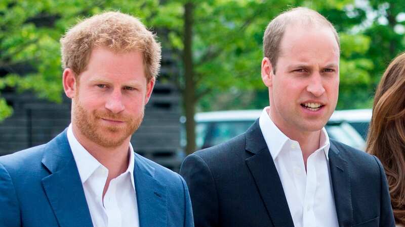 Prince Harry and Prince William had 