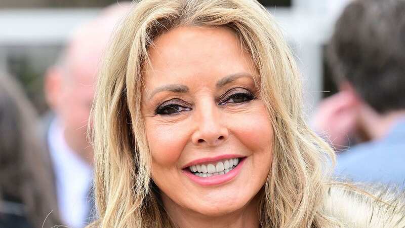 Carol Vorderman chooses to spend her time with multiple 