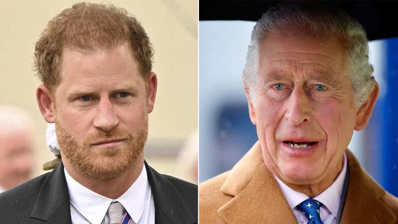 Prince Harry was critical of his father in his Netflix docu-series