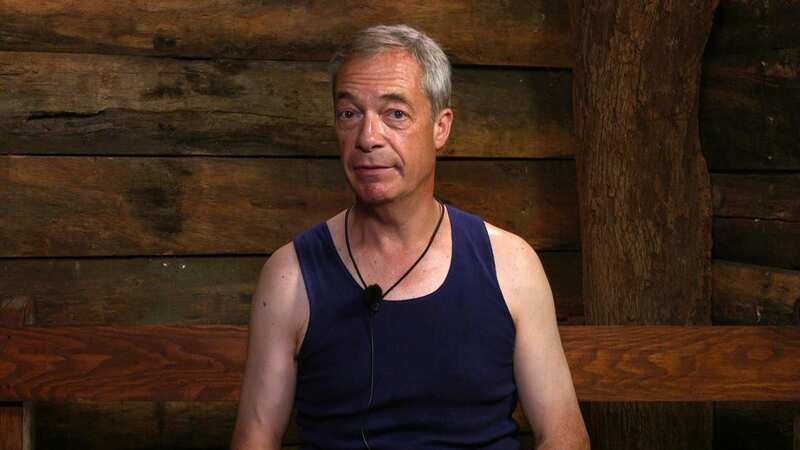 Nigel Farage might be the next celebrity to release a suggestive pin-up calendar (Image: ITV/REX/Shutterstock)