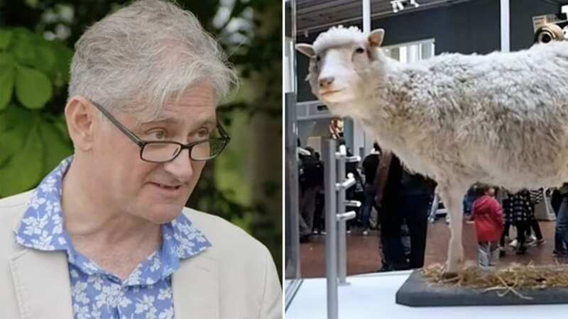 Antiques Roadshow guest stunned over value of Dolly the cloned sheep