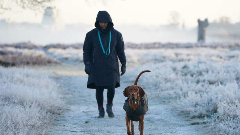 Snow falls as -1C Arctic blast blankets Britain in freezing wintry burst