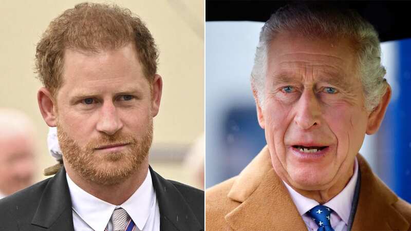 Prince Harry and King Charles finally have a 