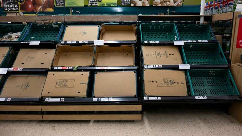 Empty fruit and vegetable shelves in a supermarket in February this year (Image: Getty Images)
