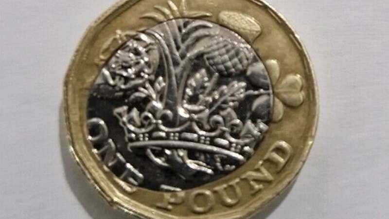 The £1 coin sold for £115 on eBay (Image: ebay)