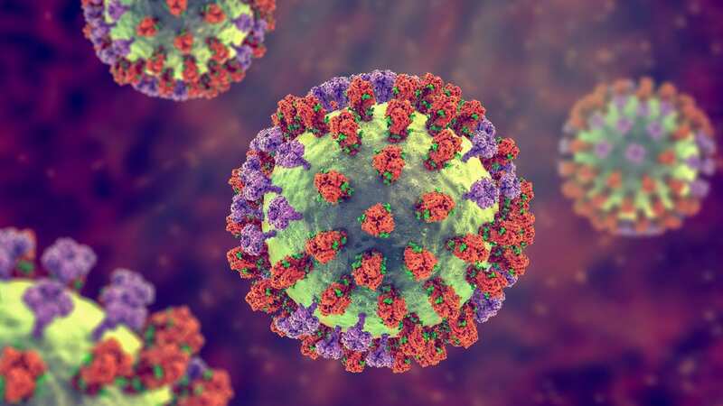 Swine flu has many similarities to the normal flu virus and is easily treated (Image: Getty Images/Science Photo Library RF)