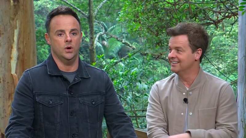 Ant and Dec often deliver major news at the end of an episode (Image: ITV/REX/Shutterstock)