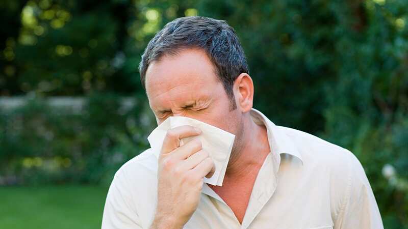 Swine flu is a respiratory disease (Stock photo) (Image: Getty Images)