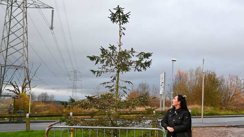 Jess Walker with the sad looking tree (Image: Gary Oakley/Manchester Evening News)