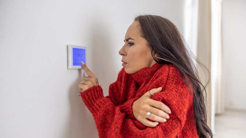 National Grid will pay Brits to turn off power tomorrow as mercury drops to -8C