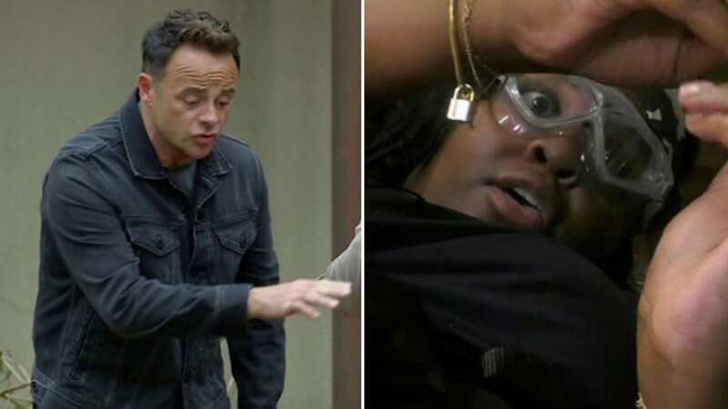 Ant and Dec didn