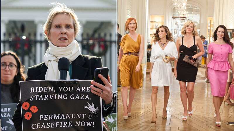 Actress Cynthia Nixon attends a protest announcing a hunger strike calling for a ceasefire in Gaza outside the White House (Image: Getty Images)