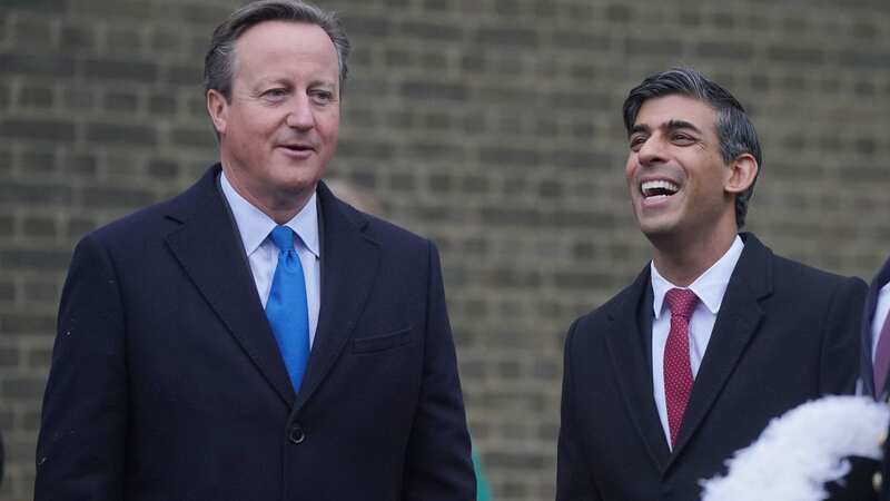 David Cameron and Rishi Sunak have been criticised for travelling on different planes (Image: PA)