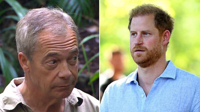 Nigel Farage referenced Prince Harry on Wednesday