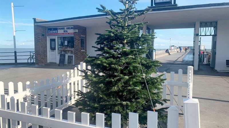 The Christmas tree in Deal is expected to be replaced with a better alternative (Image: KMG / SWNS)