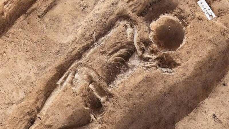 The hollowed-out skull of a 1,000-year-old skeleton (Image: Jan Woitas/dpa)