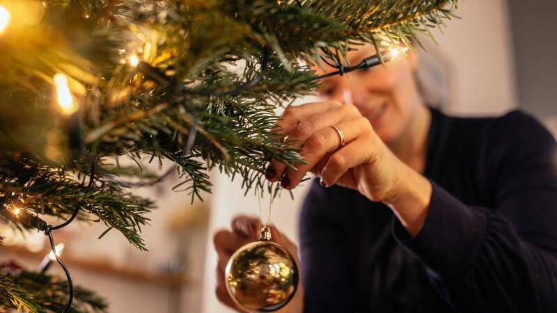 The woman washed her tree in the bath before decorating it (stock image) (Image: Getty Images)