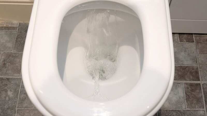 Eight in 10 Brits have flushed things down the toilet that they shouldn