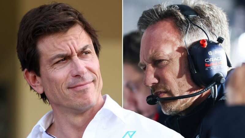 Christian Horner and Toto Wolff have been rivals for years (Image: Getty Images)