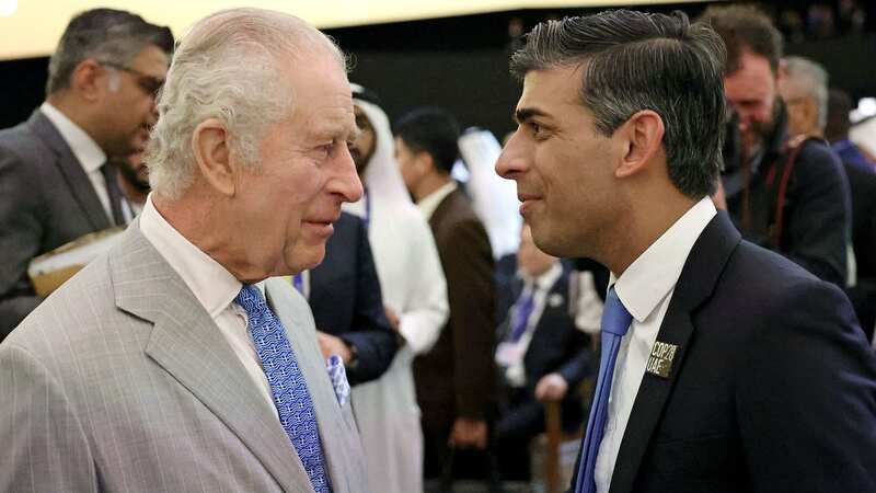 King Charles met Rishi Sunak at the COP28 summit in Dubai (Image: PA)