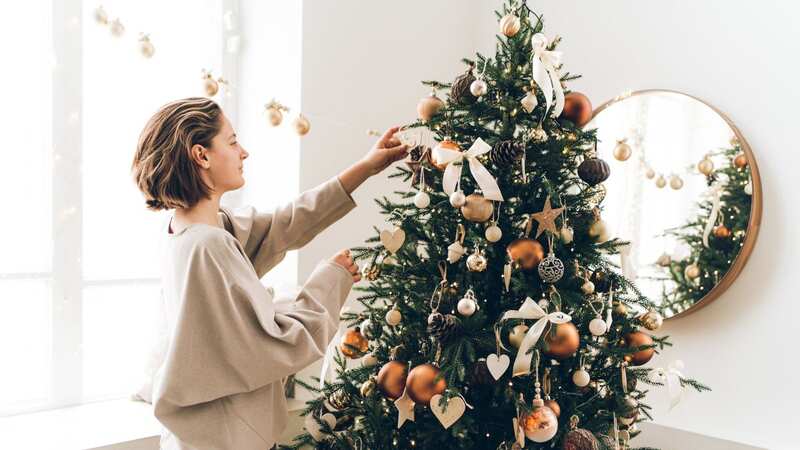 She has shared her top tricks to decorating a Christmas tree (stock photo) (Image: Getty Images)