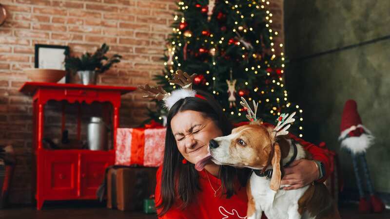 One woman has shared her hack to decorate the 